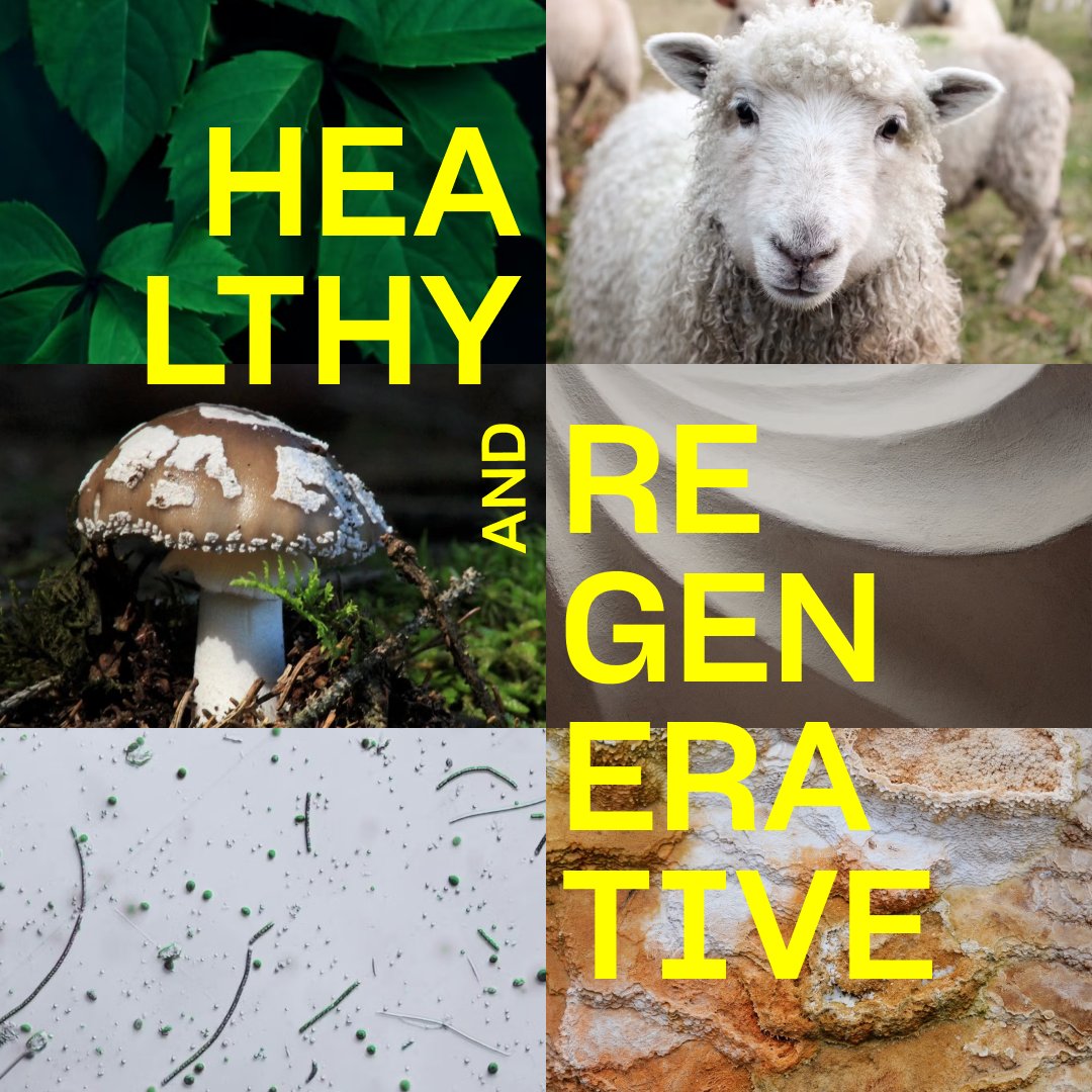 parsons_HML's tweet photo. Today is #EarthDay!

Are you interested in materials made from eelgrass, algae, wool, yeast, mycelium, clay, &amp; lime? 

Dive into our  ‘Healthy and Regenerative’ collections.

#ThankYouEarth https://t.co/YWvI0xa0ak https://t.co/V5F2KcZRBL