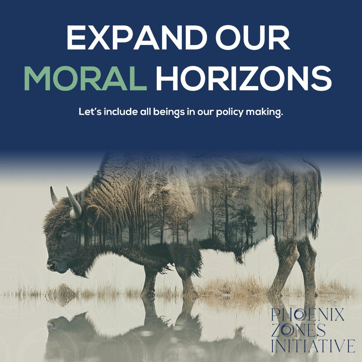 PZInitiative's tweet photo. ๐ Phoenix Zones Initiative works to include all beings in our circle of compassion. Let's consider every being in our policymaking.
๐คฒ Together, we expand our moral horizons.
https://t.co/nR2lPO9BJk
#EthicalPolicies #OneHealth #JustOneHealth https://t.co/S58scSoQlj