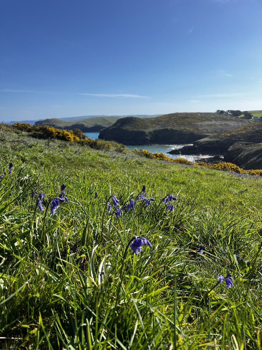 This Earth Day, celebrate the amazing place we call home with Cornwall Wildlife Trust. We believe in a wilder future for Cornwall, where our wildlife and wild places are cherished for all to enjoy. #earthday #cornwallwildlifetrust #nature #wildlife