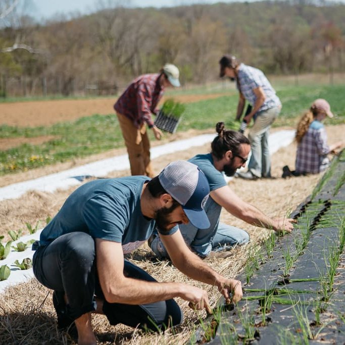 Little Sesame got an USDA grant! 

the $2.2 million goes to support <a href="/littlesesame/">Ellen Yu</a> to further develop their business and continue to support organic chickpea farmers

the co raised $3M earlier this year 
one of the latest succceses of R2R: 
restaurant to retail movement