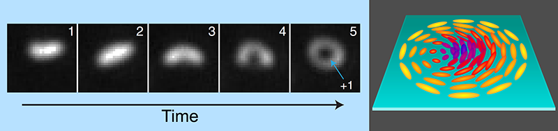 Witnessing the Birth of #Skyrmions physics.aps.org/articles/v17/69 via <a href="/PhysicsMagazine/">Physics Magazine</a>