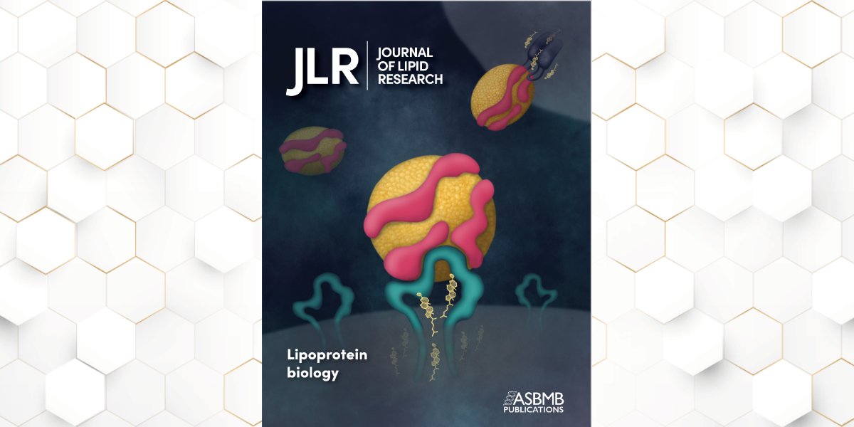 In recognition of this important and growing research field, we are proud to present a curated collection of articles published in the Journal of Lipid Research (JLR) that showcases the latest advancements in lipoprotein biology. 
jlr.org/lipoprotein-bi…