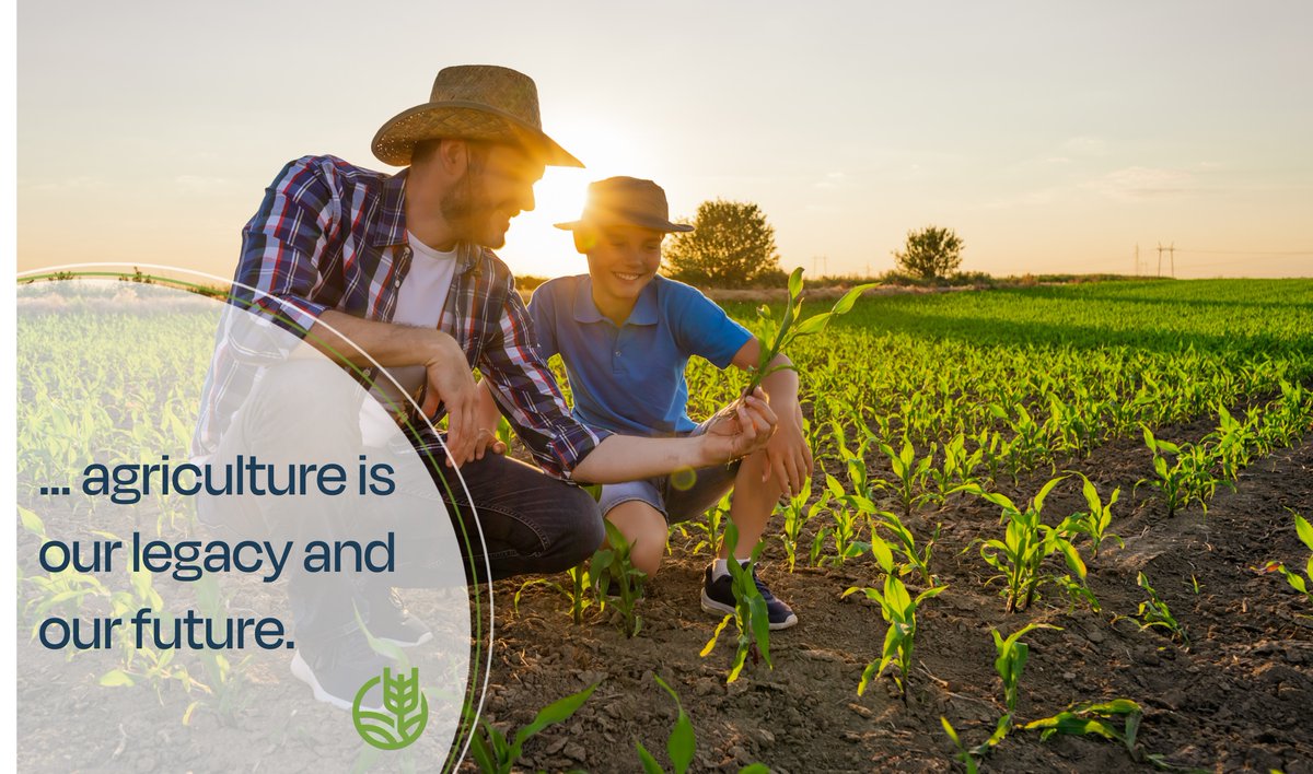 Our Region has the potential to be a global leader in agriculture, with a strong foundation for job creation and economic growth. Let's conserve prime land and nurture agri-food opportunities to unlock significant potential! Learn more: emrb.ca/agriculture #BoundlessPotential