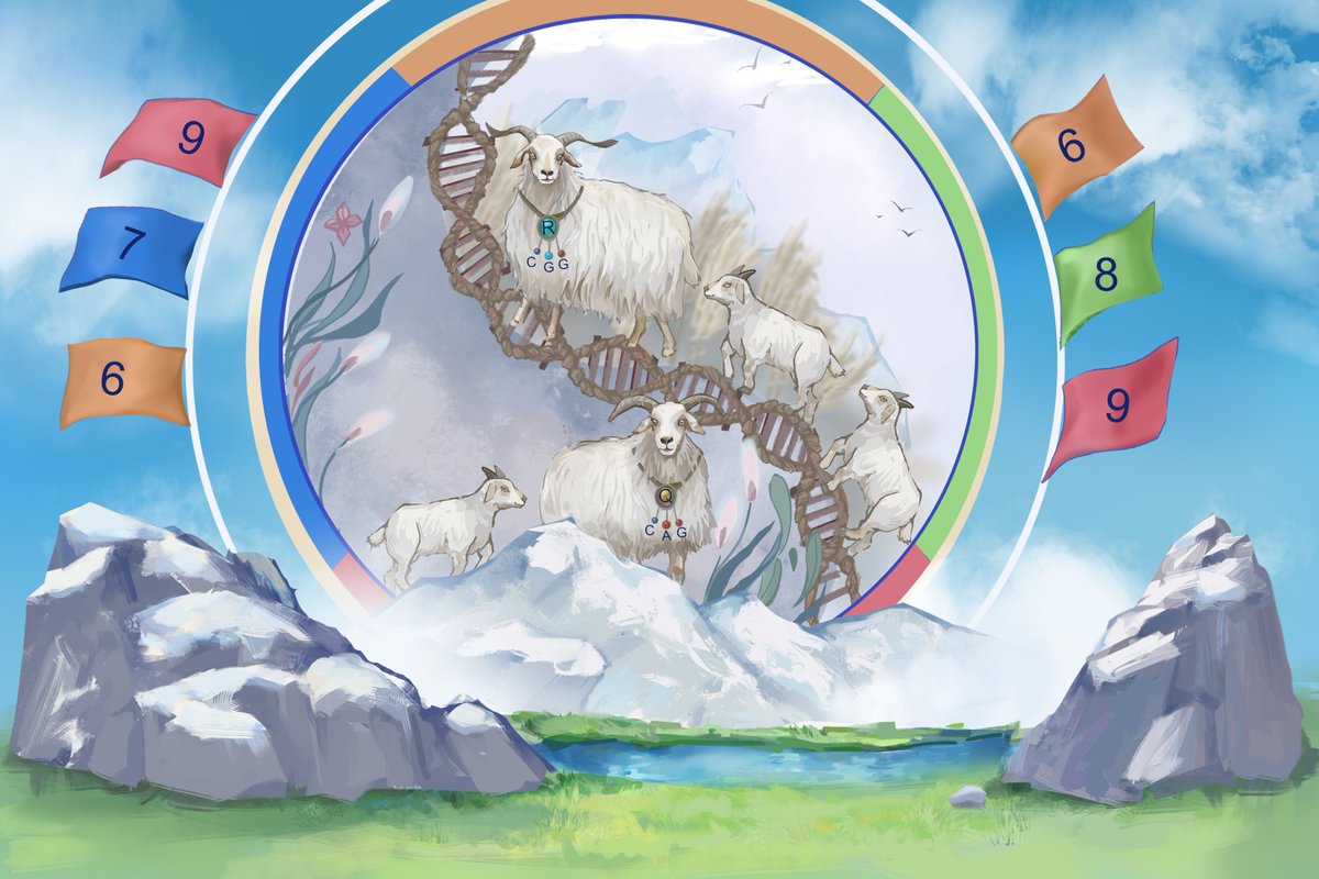 Multiomics Analyses Provide New Insight into Genetic Variation of Reproductive Adaptability in Tibetan Sheep buff.ly/3JphvWA #science #evolution #biology #genome