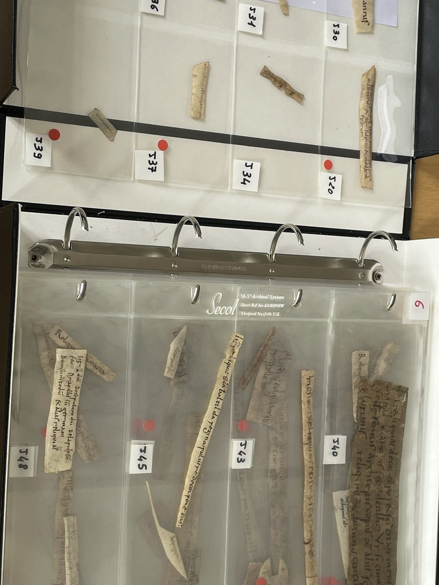 Back in Sens for a week with these tiny beauties