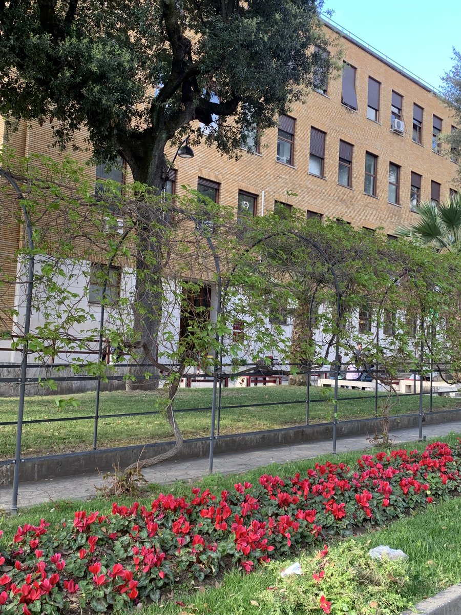 Luciano Galantini tweet media