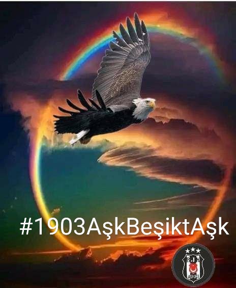 AŞKIN SAATİ 1903 🦅🦅🦅 #1903AşkBeşiktAşk 🦅🇹🇷🦅