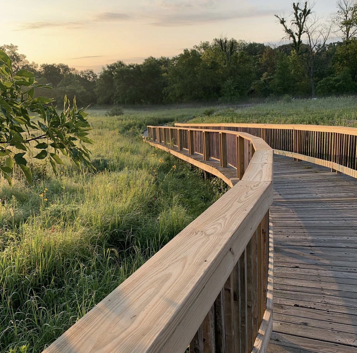 As many who know me know I like to take a morning walk every day and I especially do before my coffee.🌱🌷