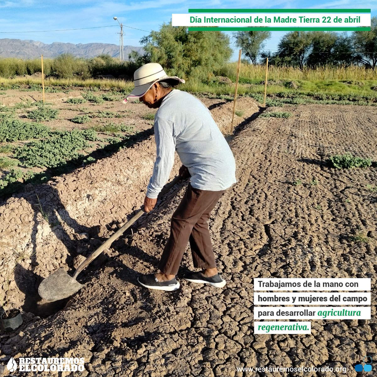 🌎22 Día Internacional de la Madre Tierra.

¡Qué mejor manera de celebrar! sumemos acciones por la #RestauraciónEcológica en el Delta del Río Colorado. 
Los ecosistemas sustentan todas las formas de vida de la tierra. 
Fuente: un.org/es/observances…

#RíoColorado #MadreTierra