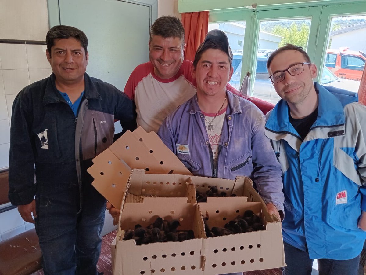 INTA Santa Cruz tweet media