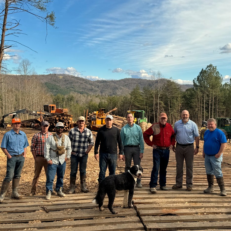 Cecil is lining up the crew for the day! 🐶

#Contentment #NCgolf