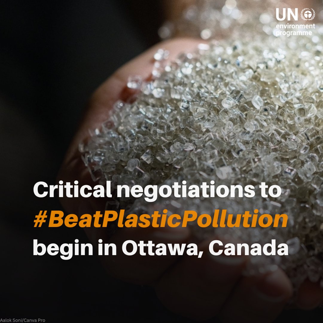 A key moment in the fight to #BeatPlasticPollution: delegates gather this week in Ottawa 🇨🇦 for #INC4, the next step in the process to forge a legally binding #PlasticsTreaty and shaping a future where the environment no longer bears this burden.

unep.org/news-and-stori…