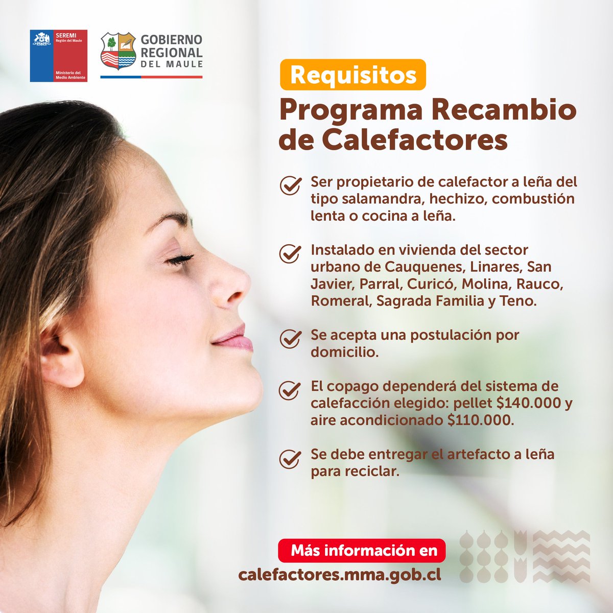 MMAmaule's tweet photo. 🔴#MMAinforma
📢¡Atención! Hoy, es el último día para postular al subsidio medioambiental: Programa Piloto de Recambio Calefactores para las comunas de #SanJavier, #Parral #Cauquenes y #Linares.
¿Dónde postular?
📱💻 En: https://t.co/vKTVQNihx6 https://t.co/auyVawjooB