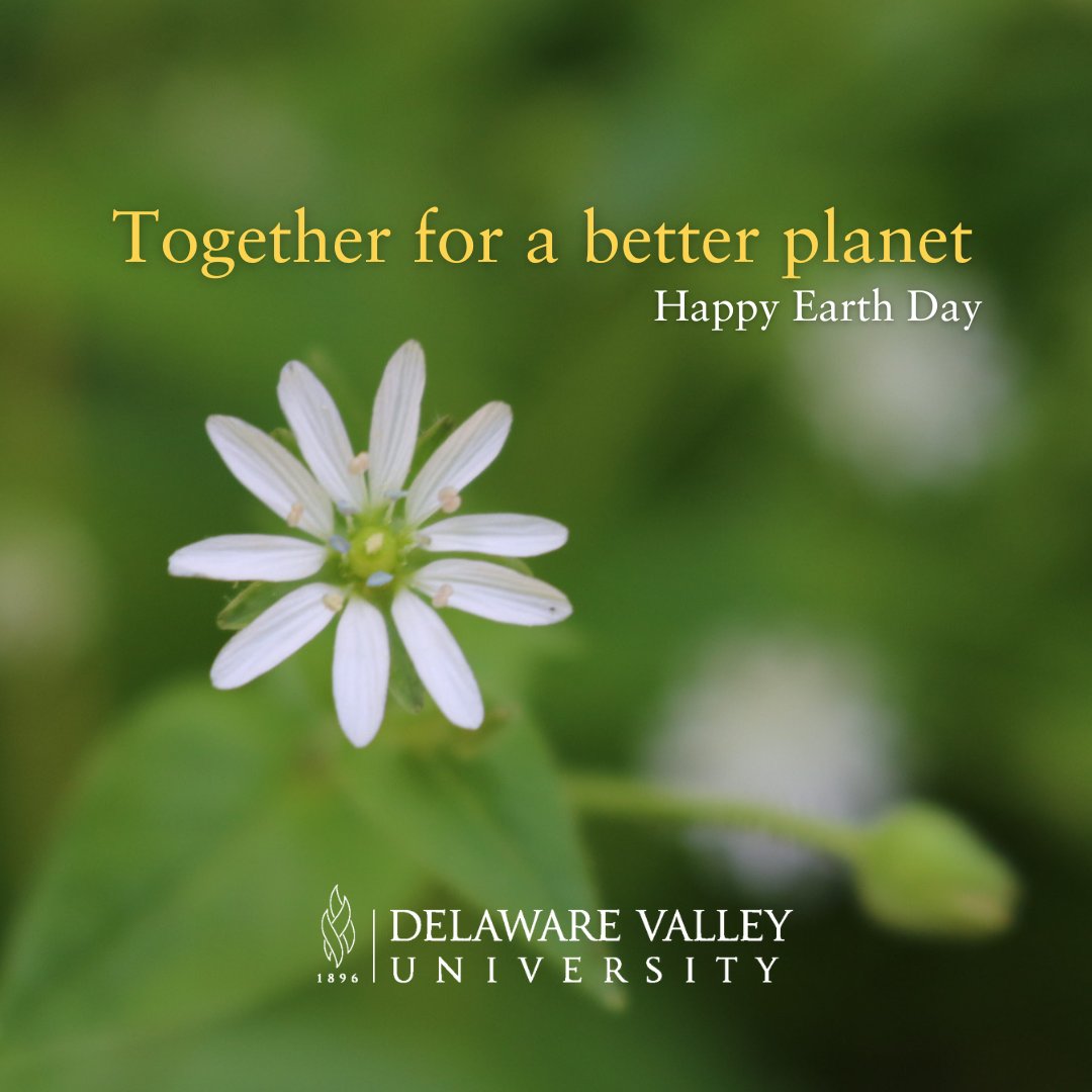 Happy Earth Day! Find Earth Day events near you at earthday.org.