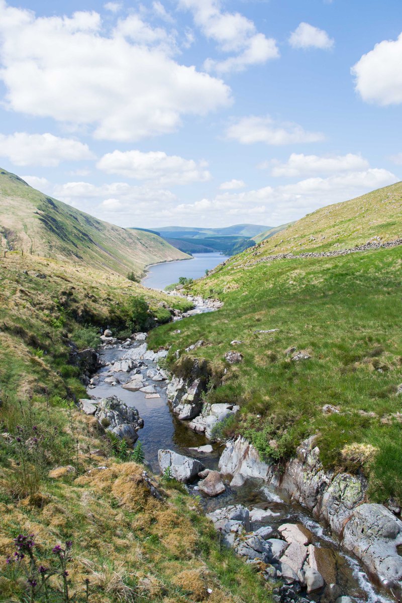 🌿Working in partnership with @bordersforesttrust, 52,500 trees and shrubs will be planted in the Wild Heart by volunteers to create 80ha of upland native woodland and montane scrub restoring a mosaic of natural habitats. #EarthDay2024📸The Wild Heart. Credit: Catriona Patience.