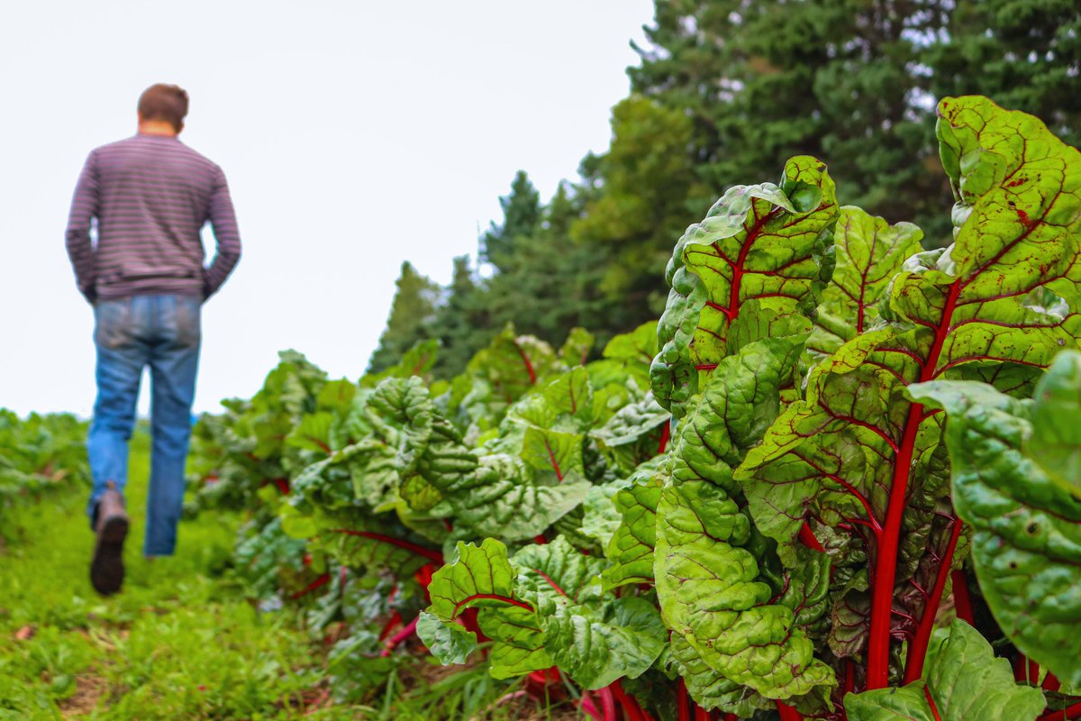 Happy Earth Day! PEIFA provides programming that helps farmers explore innovative best practices, assess and track environmental well-being, and see a return for investments in sustainability made on behalf of all Islanders.🌎 Learn more at peifa.ca