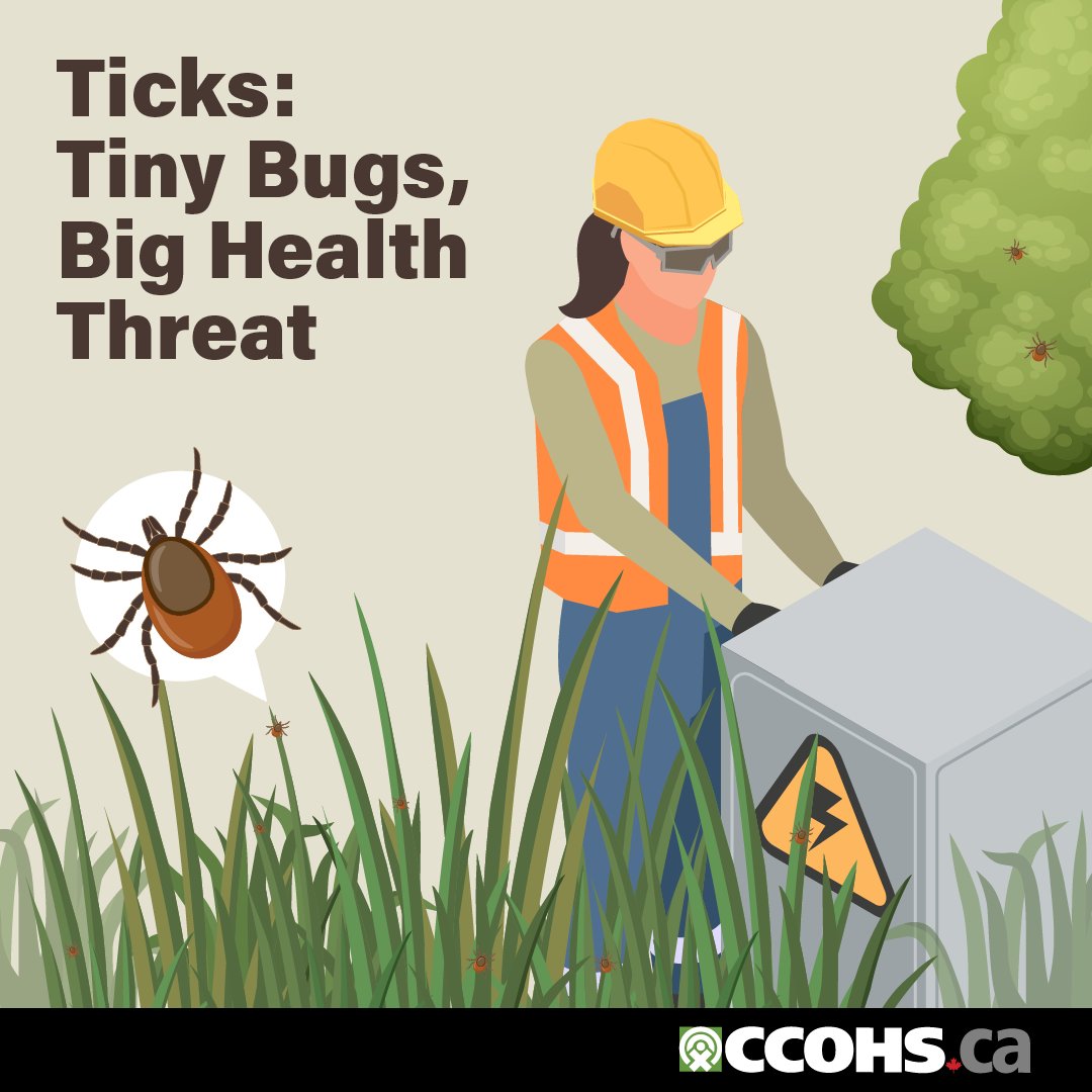 Work outdoors? You could be at risk of a tick-borne disease like Lyme disease. Learn how to assess the risk and protect workers: ow.ly/JZ4N50Rl13O
