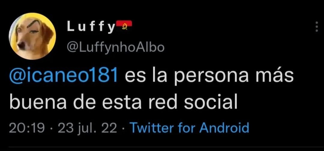 L tweet media