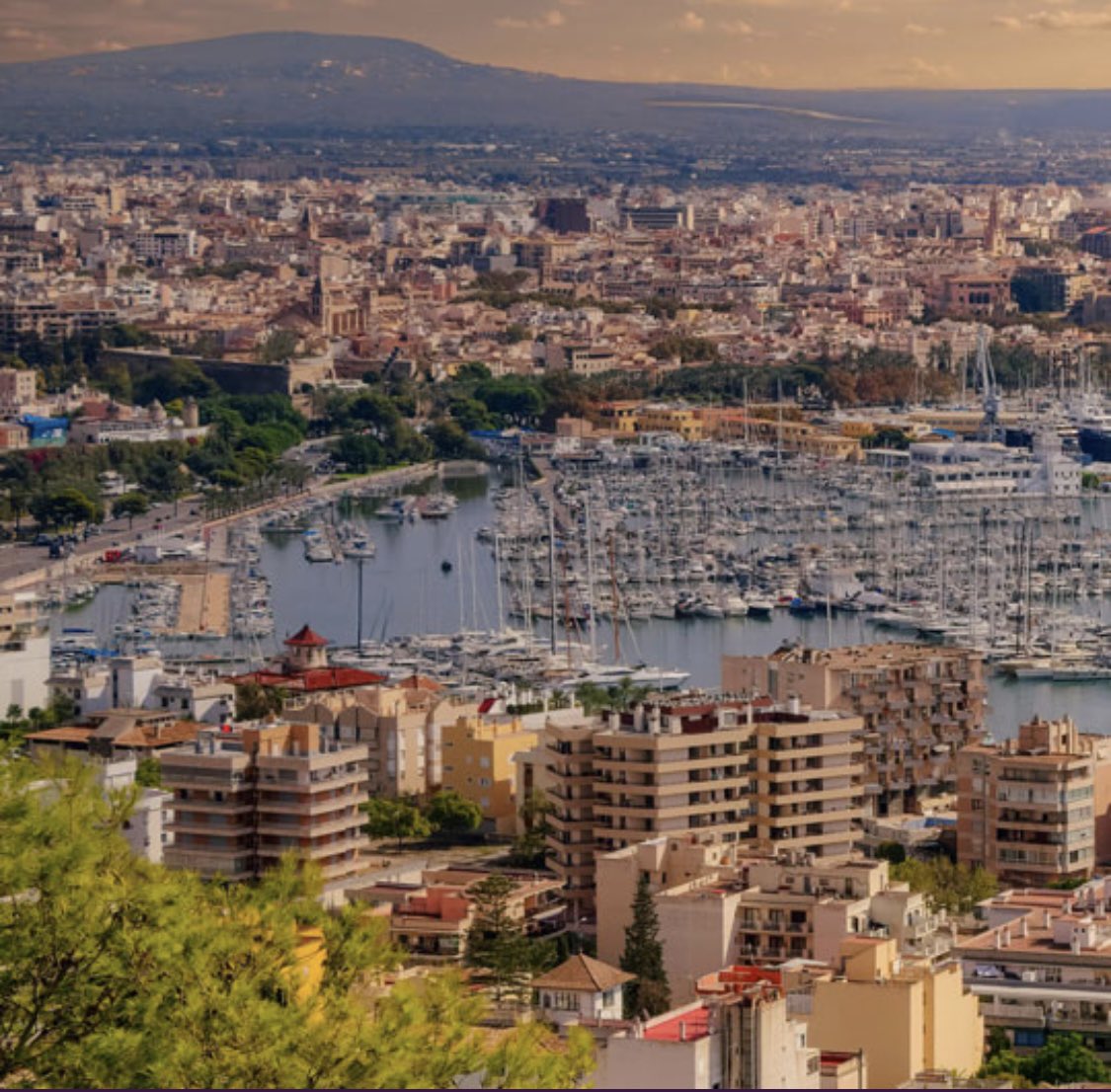 📣We are thrilled to invite you to the 23rd @ENSAT_news Scientific Meeting and 3rd COST Harmonis@tion meeting, which will be held at the beautiful island of Palma de Mallorca (Spain) in October 2-4, 2024. Please find the info and registration link here: 👇 goharmonisation.com/the-joint-23rd…