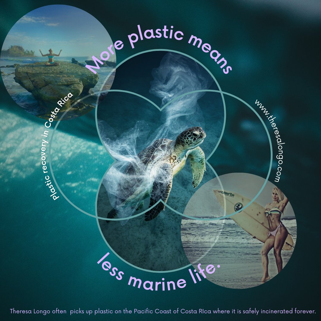 #EarthDay2024 Protect animal habitats! Every time I paddle out or walk the #PacificCoast I collect micro plastic pollution. 

Recollected plastic is safely incinerated & gone forever. 
theresalongo.com/an-urgent-call…