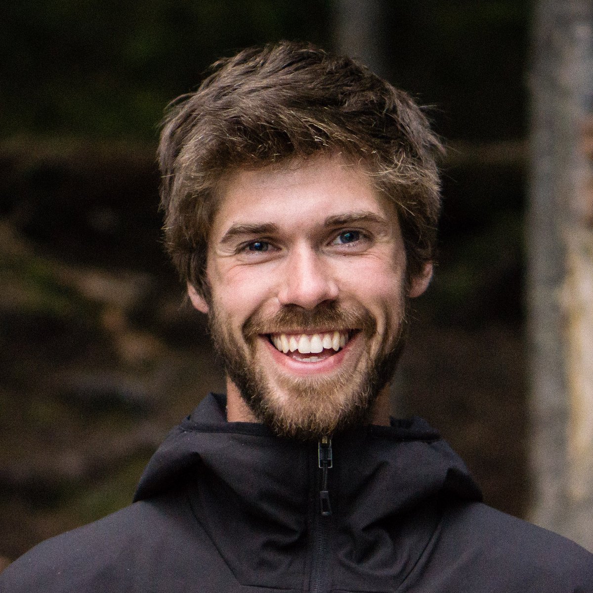 Buzz Interactive tweet media