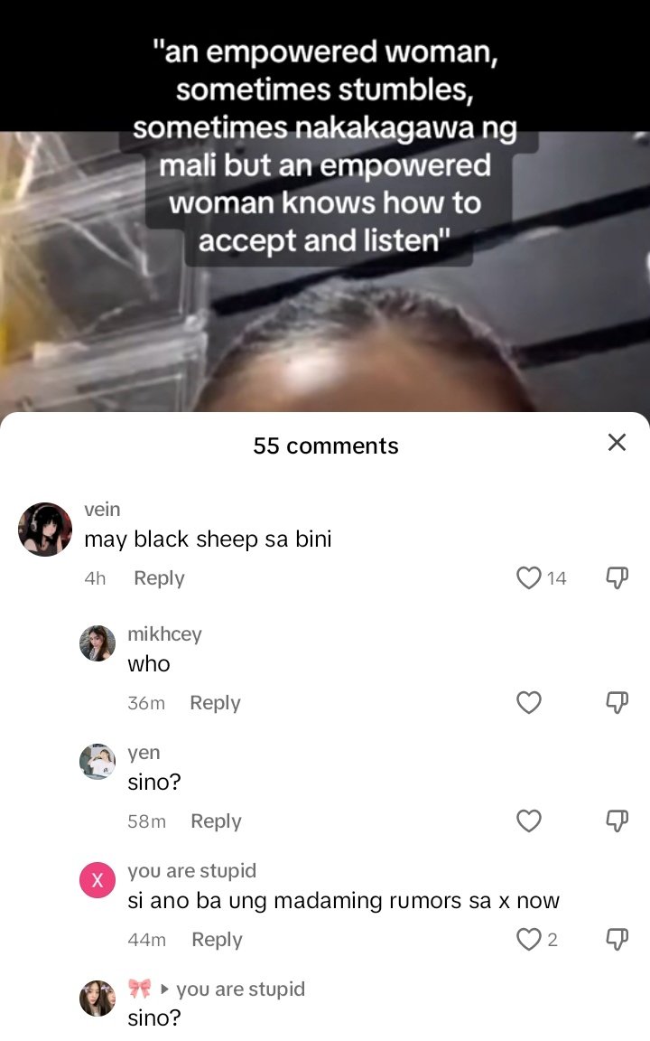 first of all, hindi ko gustong magtweet regarding sa iniyakan ko ngayon pero parang as a fan parang 'di naman yata tama 'to? #Bini #Walohanggangdulo #mikha yung bio mo Bini 4 life pero may pa ganyan ka Vein. Bini, is not bini kung walang MIKHA. 'di ko na pinatulan, naiyak na lng.