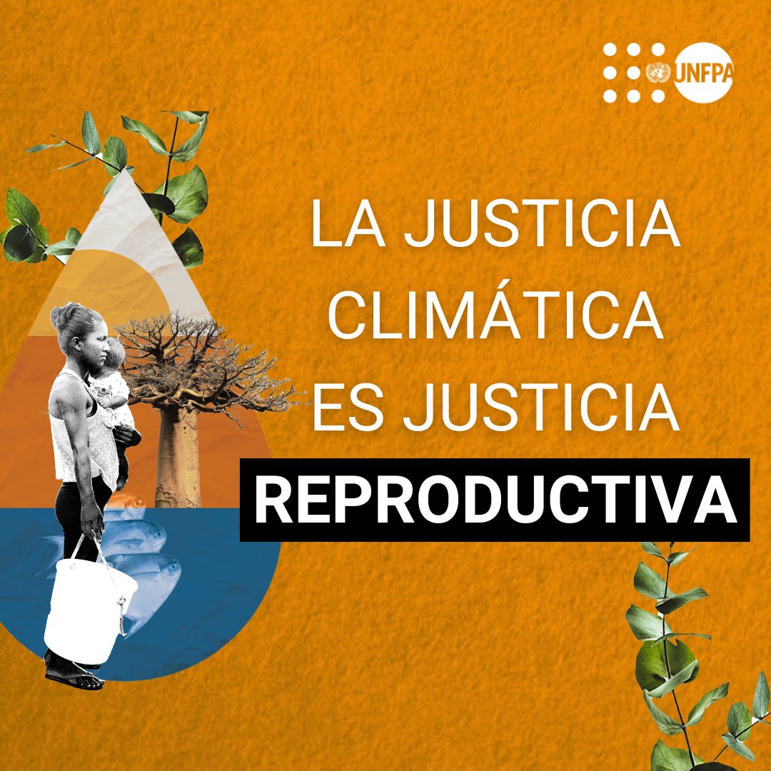 unfpa_lac's tweet photo. 🌎 El cambio climático impacta de manera significativa todas las dimensiones de los derechos de las mujeres y niñas.

En el #DíaDeLaTierra, comprometámonos a protegerla y tomar #AcciónClimática YA: https://t.co/nnHVYT3JOM https://t.co/fZ0u6G8rFE
