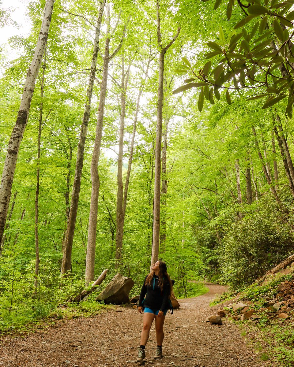 Happy #EarthDay! Let's continue to take care of our planet by practicing @leavenotraceorg and leaving the trails better than when you found them. 📸 @billy.hikes, @tay.braithwaite, @angelinaroundtheworld, @mariahh.adventures bit.ly/3Q6ltY6