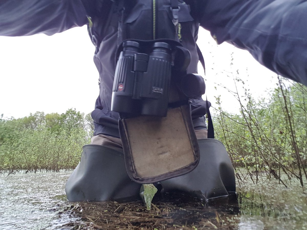 Soms gaat vogels tellen tot het randje #GrootePeel