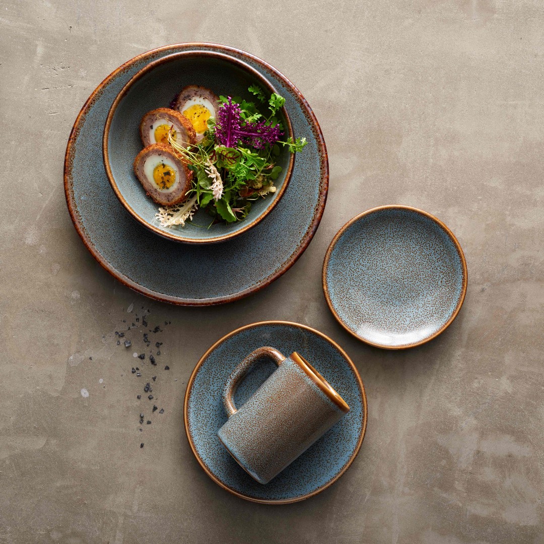 🌍 Celebrating Earth Day with Alma's earthy tones! 🌿 Embrace the eco-chic trend with The Alma Collection, a perfect blend of rustic charm and modern flair. 

#earthday #steelite #steeliteframesyourfood #steeliteexperience #steelitesighting #theartofpresentation #tablesetting