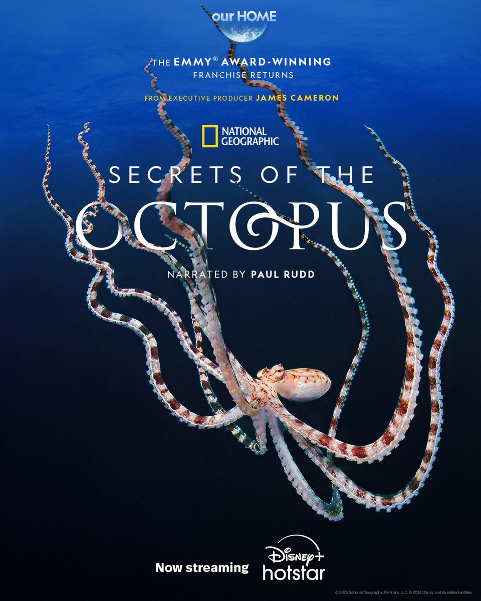 The octopus is a master of disguise, capable of camouflaging itself at any moment. But what other secrets do they hold? From @jamescameronofficial and narrated by Paul Rudd, #SecretsOfTheOctopus now streaming in English, Hindi, Tamil and Telugu on #DisneyPlusHotstar #ourHOME