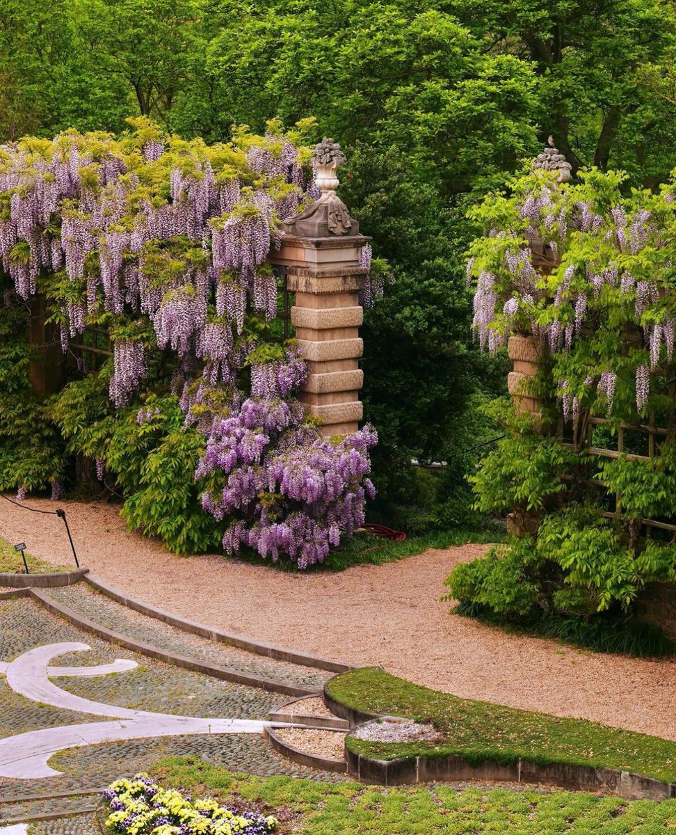 Happy Earth Day, Washingtonians! Spring in DC..it never gets old! 🌷💫🪻

See fun ways to celebrate Earth Day this year around DC: bit.ly/44c5j5c.

📸: drchubacca, cbridner, minhp on IG
#WashMagPhoto