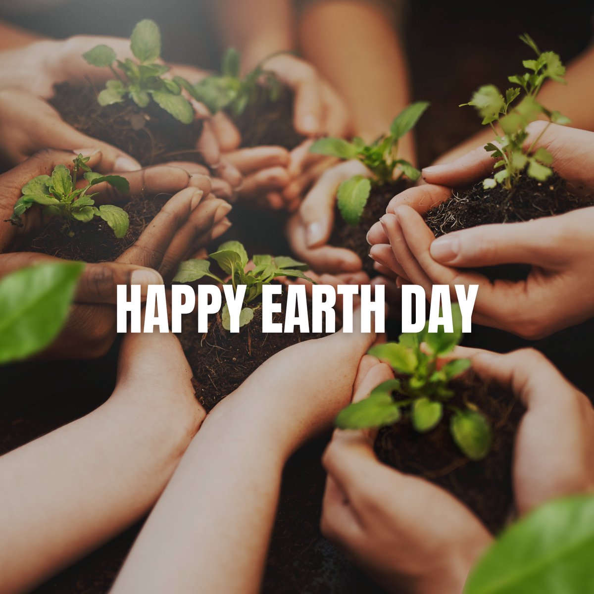 Peace Corps SA tweet media