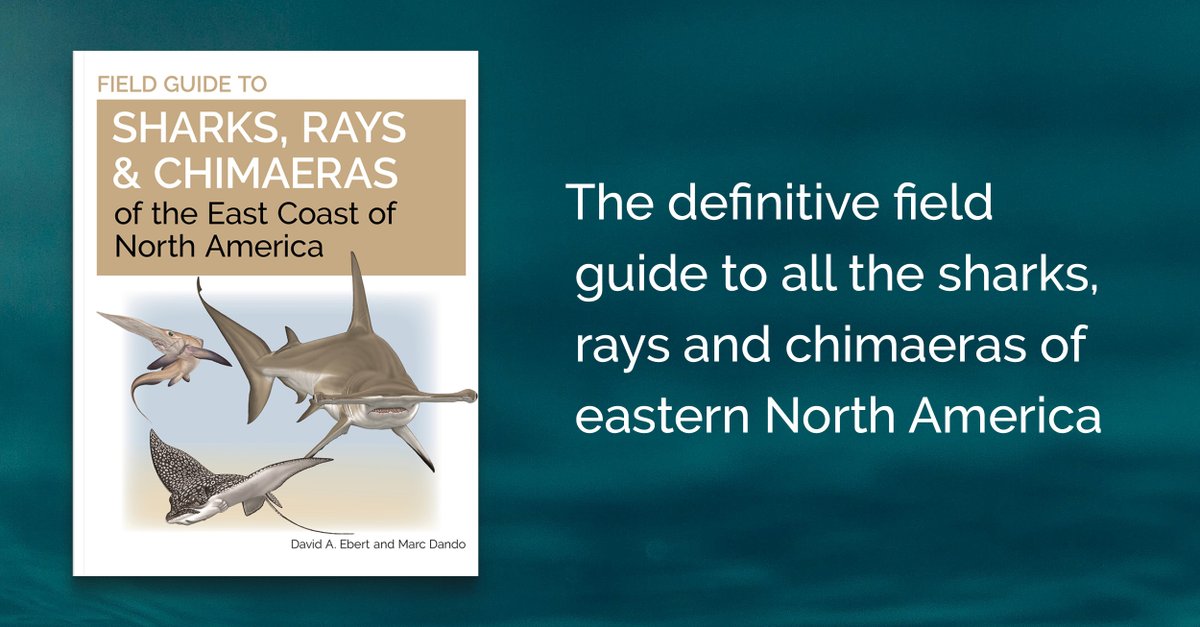 Take a deep dive into the world of the #sharks, rays, and chimaeras of the East Coast of North America with David A. Ebert and Marc Dando's incredible new field guide, out May 7. Preorder yours: hubs.ly/Q02sWW8B0 @lostsharksguy @wildnaturepress @dando_marc #EarthDay2024