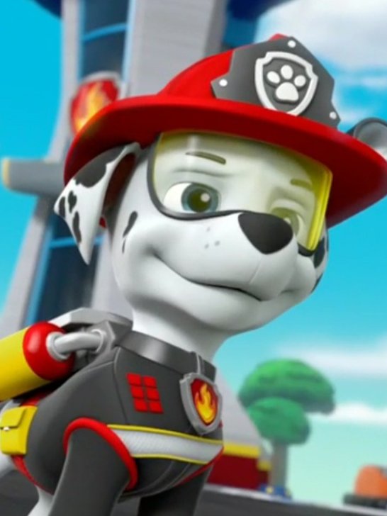 Marshall tweet media