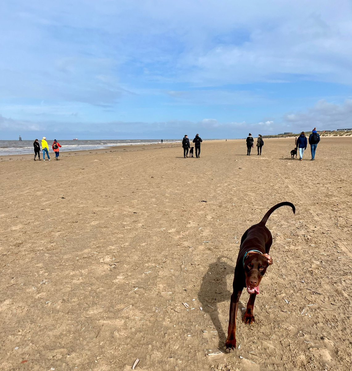 Dr Amy Whitehead (@a_whitehead1) on Twitter photo Walk & talk research day with the Coaching & Pedagogy research group <a href="/LJMUSportSci/">LJMU Sport Science</a> - feel extremely privileged to lead a research group filled with fantastic people who bring so much energy, ideas & impact (& lots of cute 🐶) #research #impact #dogsofljmu Walk & talk research day with the Coaching & Pedagogy research group <a href="/LJMUSportSci/">LJMU Sport Science</a> - feel extremely privileged to lead a research group filled with fantastic people who bring so much energy, ideas & impact (& lots of cute 🐶) #research #impact #dogsofljmu