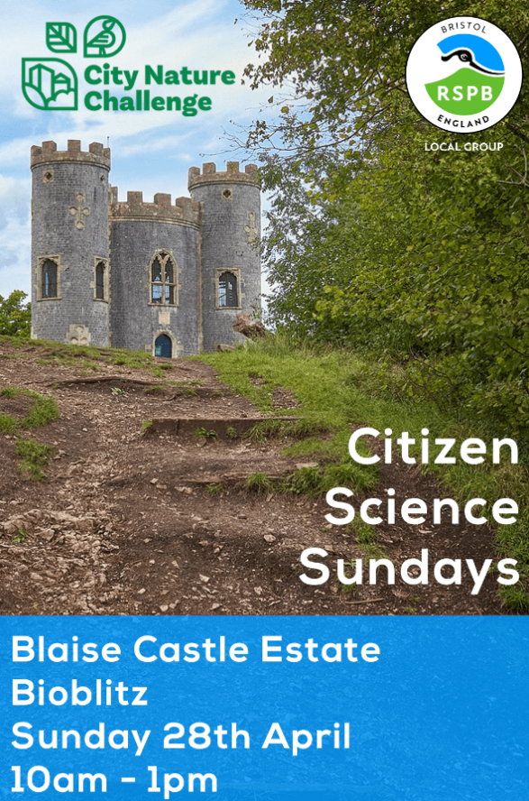 RSPB Bristol are running a #BioBlitz during #CityNatureChallenge at Blaise Castle Estate on Sunday 28th April 10am - 1pm.

Everyone is encouraged to join in regardless of level, from enthusiastic beginners to seasoned bird nerds. 🐦

Find out more: ticketsource.co.uk/rspb-bristol/c…