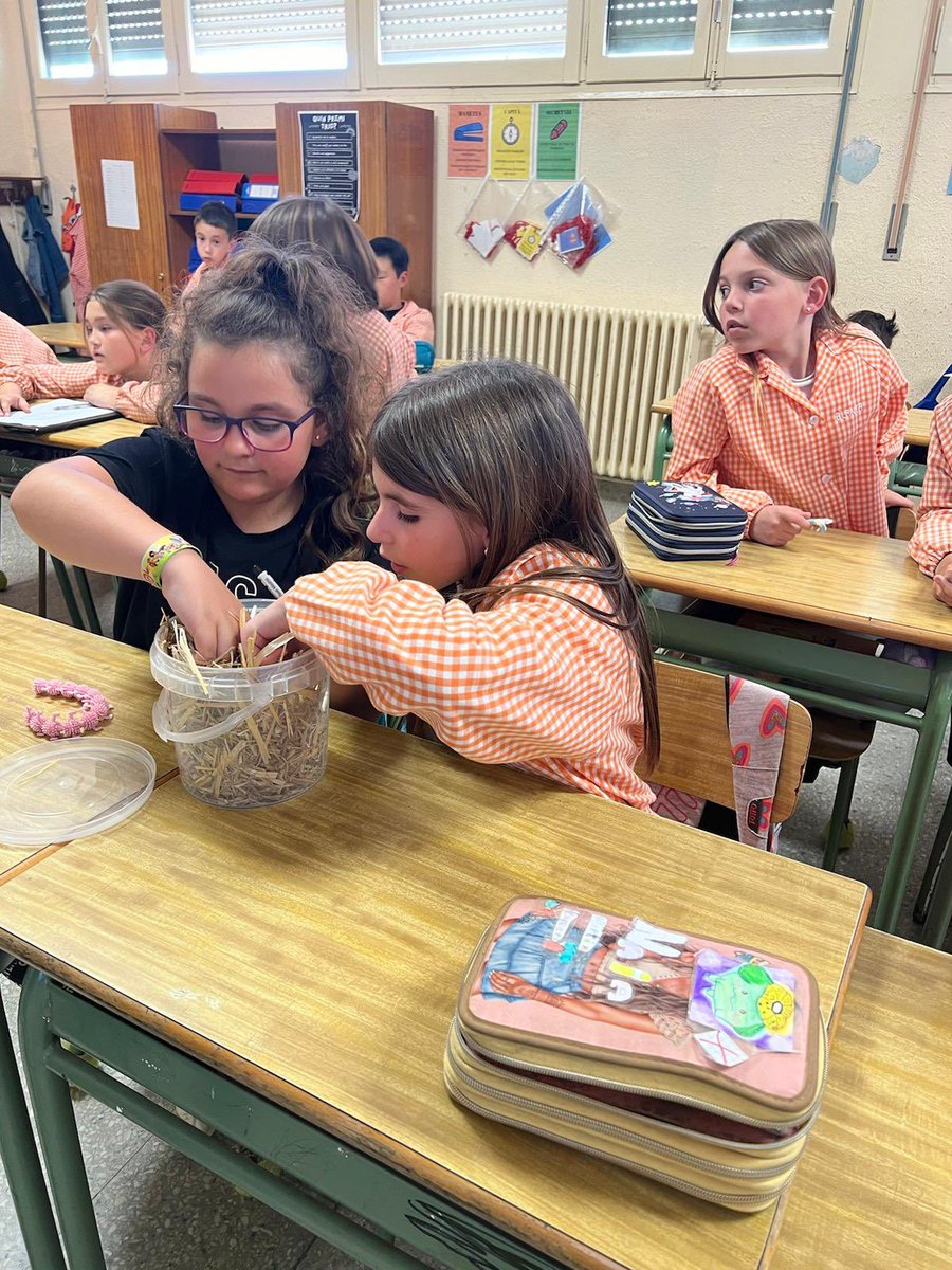 Col·legi MDS tweet media