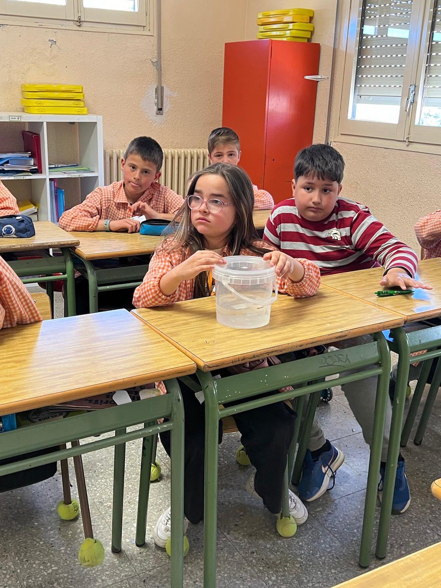 Col·legi MDS tweet media