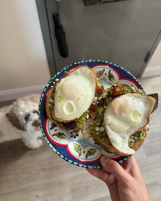 Swipe for the whole meal  #breakfastofchampions #breakfast #mealprep #fitness #fitnessmotivation #eggs<a href="/tag/breakfastofchampions"class="tags">&#35;breakfastofchampions</a><a href="/tag/fitness"class="tags"><span>&#35;fitness</span></a><a href="/tag/chef"class="tags"><span>&#35;chef</span></a><a href="/tag/fitnessmotivation"class="tags"><span>&#35;fitnessmotivation</span></a><a href="/tag/goodmorning"class="tags"><span>&#35;goodmorning</span></a>