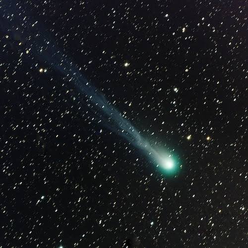 ZyliceLiddell's tweet image. The #DevilsComet #Comet is #Loki! 💚🟢 ☄️
