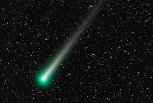 ZyliceLiddell's tweet image. The #DevilsComet #Comet is #Loki! 💚🟢 ☄️
