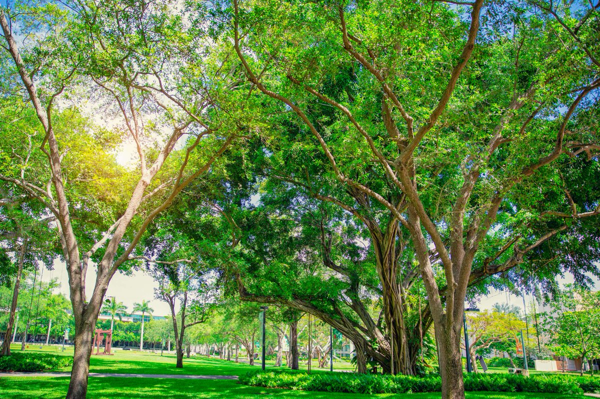 Happy #EarthDay! 🌎 We are celebrating our planet in big ways at the U. 🙌 Learn more ➡️ bit.ly/3U4lwpA @univmiami