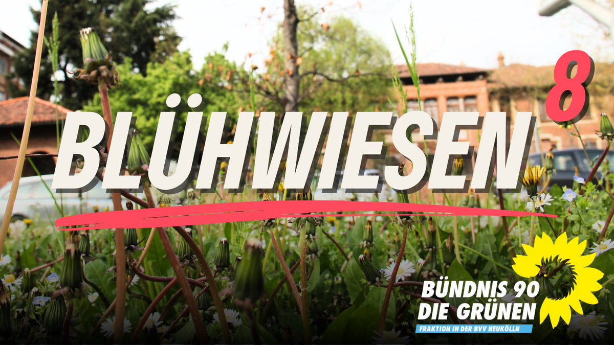 Mehr Frühling, mehr #Blühwiesen, mehr Erholung. Das ist #Neukölln. Unser Stadtrat @derjochen ist fleißig: 5.000 qm. 8 neue Orte. Mehr Infos: berlin.de/ba-neukoelln/a… #Stadtnatur #Wildenbruchplatz #Artenvielfalt