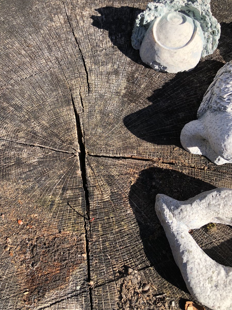 CDanaherH's tweet image. If you see how everything
living is #ingrained
with the same deep meanings
each story’s rearranged
but never really changed,
you won’t think it strange
how we keep felling
living things to make
pages to hold more
of #folklore’s saving waste
#vsspoem
#vss365
#poem
#poetry
#ingrain