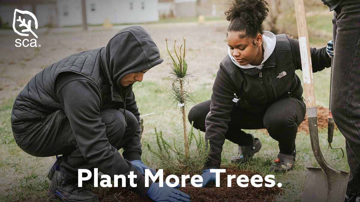 Happy #EarthDay! 🌎⁣ ⁣ Did you know that according to the EPA, forests in the United States remove nearly 800 million tons of climate-warming carbon dioxide from the atmosphere every year? ⁣ Celebrate #EarthDay2024 by adopting or planting a tree near you! 🌳⁣