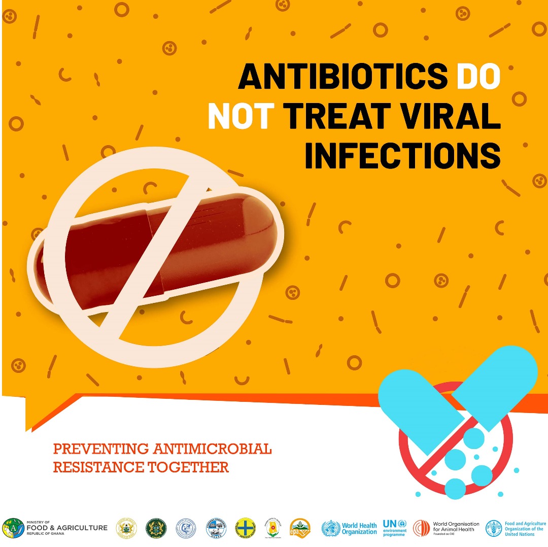 FAOGhana's tweet photo. Know the difference: Antibiotics are ineffective against viruses. Let's raise awareness to prevent unnecessary antibiotic use and preserve their effectiveness.
#AntibioticsAwareness
#UseWisely
#HealthyChoices
#HealthFirst https://t.co/bBh8gcP8wk