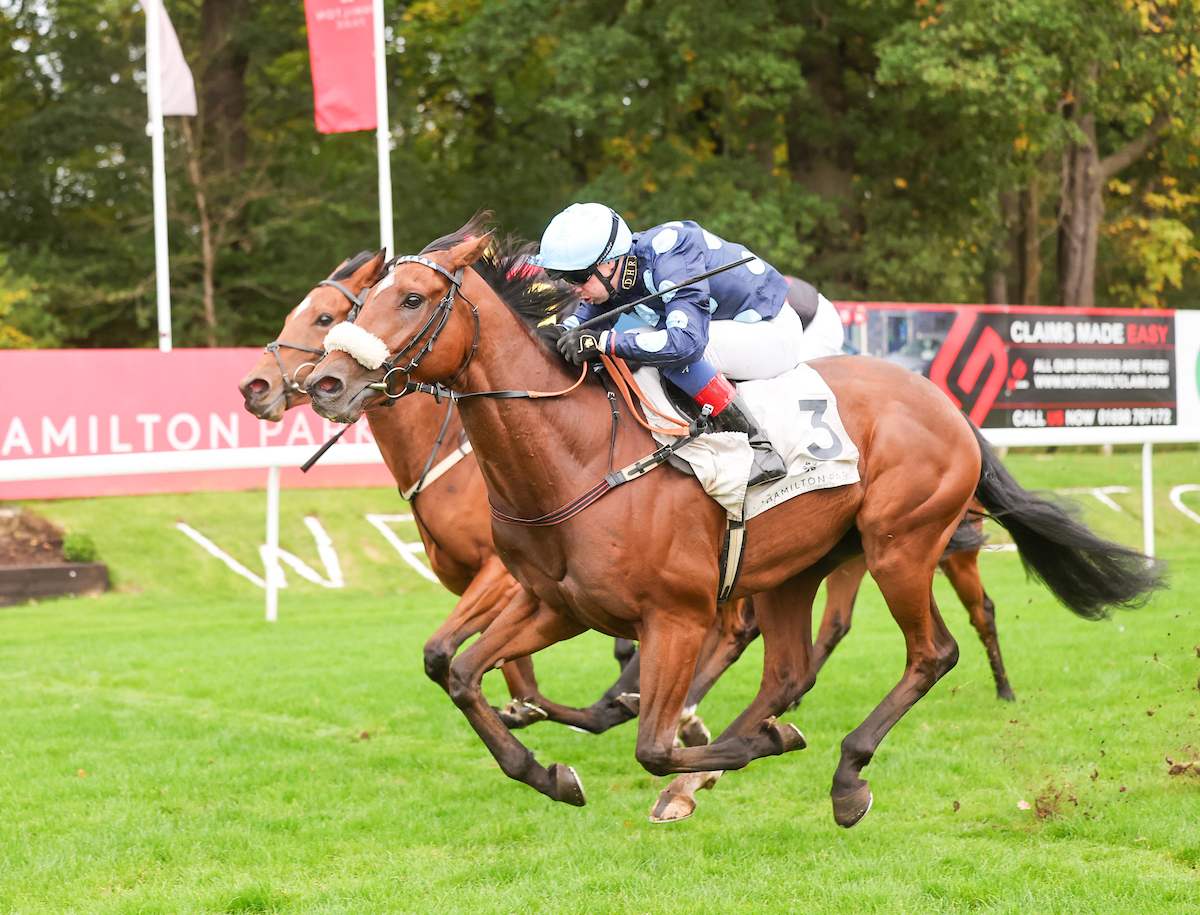 Two runners today at @ponteraces - Arkenstaar and Mambha. Good luck to connections.