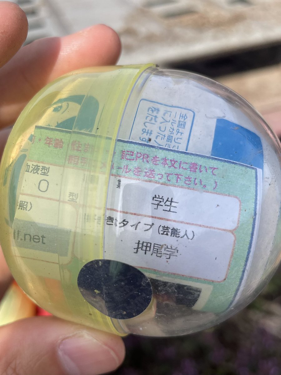 apple_boy1997's tweet photo. カプセルで友達ふやそう!!

(耕作放棄の畑にありました) https://t.co/c5ka2epyEF