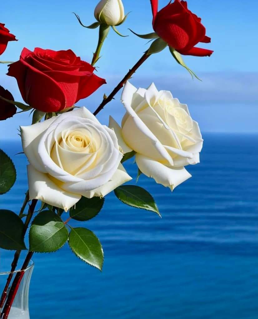 Wishing everyone a great week ❤️❤️❤️ #Roses #foryou #goodmorning
